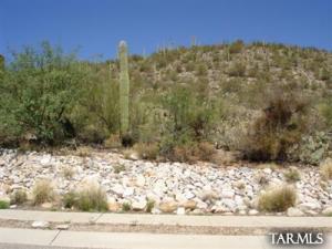 6561 N Calle De La Lluvia  Tucson Arizona 85750