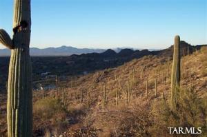 14215 N Gecko Canyon Oro Valley Arizona 85755