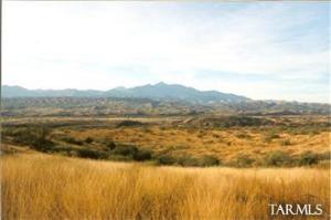 8 E Sonoita Springs Ranch Rd Patagonia Arizona 85624