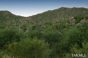 1175 W Tortolita Mountain Cir Oro Valley Arizona 85755