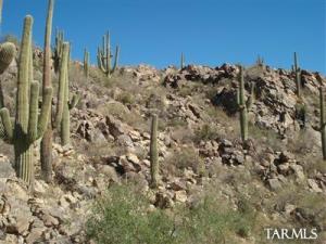 1250 W Tortolita Mountain Cir Oro Valley Arizona 85755