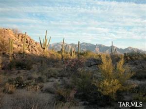 1587 W Rock Range Pl Oro Valley Arizona 85755