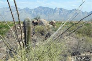 1586 W Rock Range Pl Oro Valley Arizona 85755