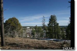 1508 W Lower Coconino Ave Flagstaff Arizona 86001