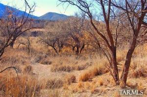 Redrock Dr Patagonia Arizona 85624