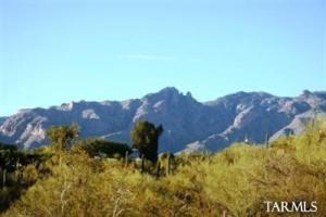 4334 N CAMINO DEL OBISPO  Tucson Arizona 85718