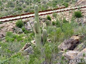 15086 N Dove Canyon Pass Marana Arizona 85658