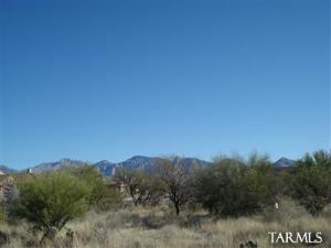 1246 W Ancient Canyon Pl Oro Valley Arizona 85755