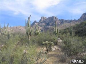 2356 E Buck Ridge Pl Oro Valley Arizona 85737