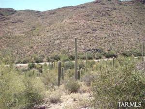 5159 W Via Mallorca  Tucson Arizona 85745