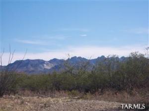 16595 S Tatanka Ln Sahuarita Arizona 85629