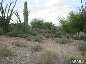 3456 W Tiny Bird Ct Tucson Arizona 85745