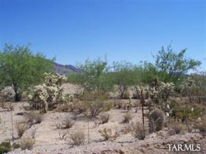4302 S Camino Verde  Tucson Arizona 85735