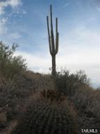 6991 W El Camino Del Cerro  Tucson Arizona 85745