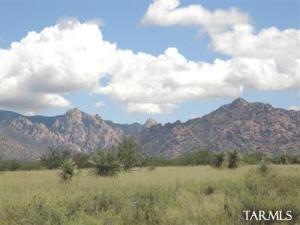 23 E De Vaca Cir St. David Arizona 85630
