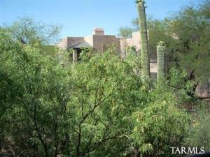 6655 N Canyon Crest Dr Tucson Arizona 85750
