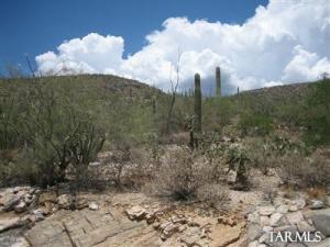 10021 E Sabino Estates Dr Tucson Arizona 85749