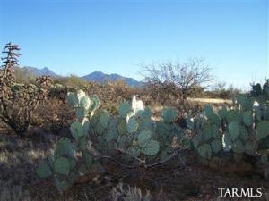 828 E Sawmill Canyon Pl Green Valley Arizona 85614