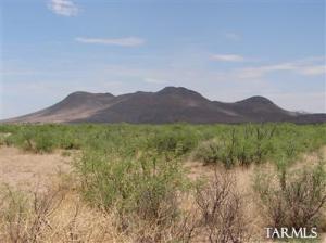 E Doe Ranch Rd Pearce Arizona 85625