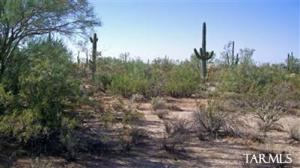   Davis Ranch Rd Marana Arizona 85658