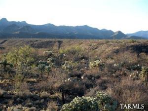 18230 S Rustling Leaf Tr Vail Arizona 85641