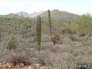 7274 W El Camino Del Cerro  Tucson Arizona 85745