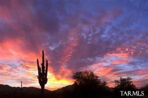   Horseshoe Bend  Tucson Arizona 85739