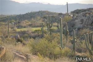 1181 W Tortolita Mountain Cir Oro Valley Arizona 85755