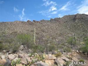 14710  Silent Spring Pl Marana Arizona 85658