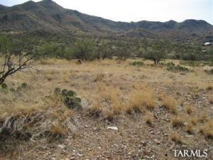 11720  Aurelia  Vail Arizona 85641