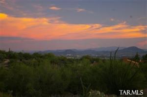7711 N Christie Dr Tucson Arizona 85718