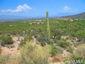 98 N Resort Hills Pl Tucson Arizona 85745