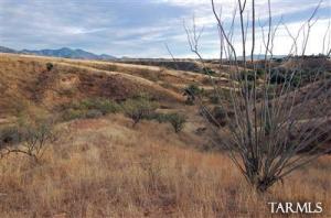 145 Lado de Loma Dr Patagonia Arizona 85624