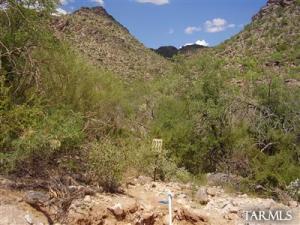 13769 N Cactus Valley Ct Marana Arizona 85653