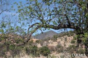 Lyle Canyon Rd Elgin Arizona 85611