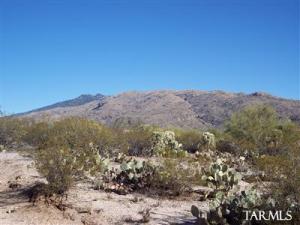 4445 S Perlita Rd Tucson Arizona 85730