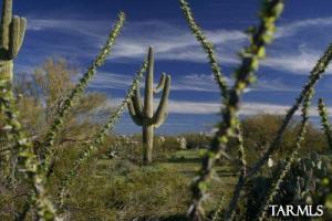 20723 N Hwy 79  Tucson Arizona 85739
