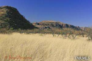 16 W Copper Canyon Rd Tubac Arizona 85646