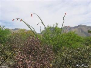 4627 E Coachlight Ln Tucson Arizona 85718
