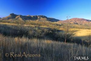 81 W Salero Mountain Dr Tubac Arizona 85646