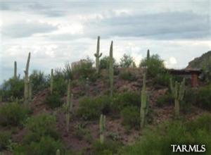 4401 W Alvaro Rd Tucson Arizona 85746