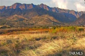 109  Red Mountain Ct Patagonia Arizona 85624