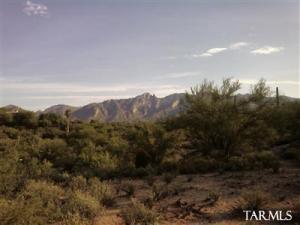 3271 E Camino Boscaje Escondido  Tucson Arizona 85718