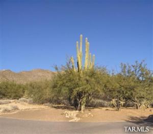 9445 E Sanctuary Pl Tucson Arizona 85749
