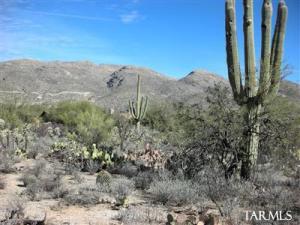 11951 E Makohoh  Tucson Arizona 85749