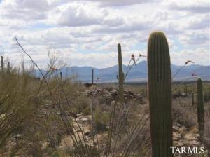 4149 W Horizon Ridge Dr Marana Arizona 85658
