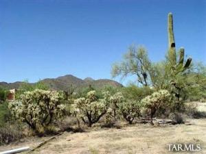 13543 N Chavez Ridge Pl Marana Arizona 85658