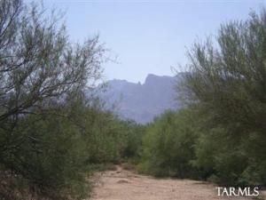 2813 W Oasis  Tucson Arizona 85742