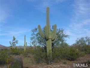 11700 W Sinagua Rd Tucson Arizona 85743