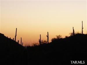 3620 W Dreamy Draw Pl Marana Arizona 85658